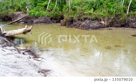 Tropical River Landscape with Clear Water and White Sandy Beach Bank Tropical River Landscape with Clear Water and White Sandy Beach Bank 135079010