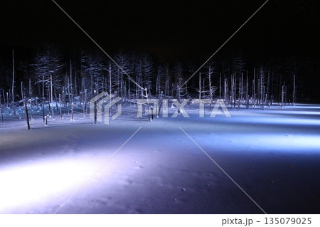 美瑛 青い池のライトアップ / Blue Pond illumination in Biei, Ho 135079025