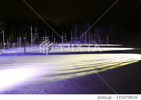 美瑛 青い池のライトアップ / Blue Pond illumination in Biei, Ho 135079026