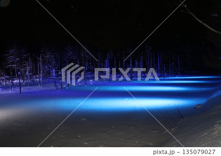 美瑛 青い池のライトアップ / Blue Pond illumination in Biei, Ho 135079027