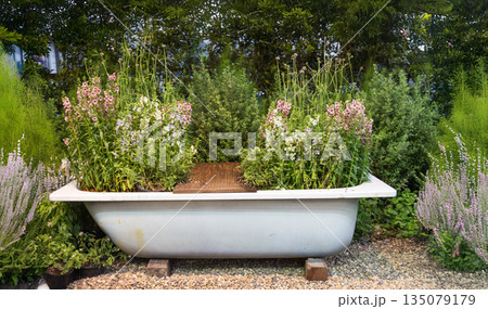 Creative upcycled vintage bathtub used as a floral planter in a rustic garden with pink flowers. Ideal for sustainability, DIY gardening, and cottagecore outdoor decor themes 135079179