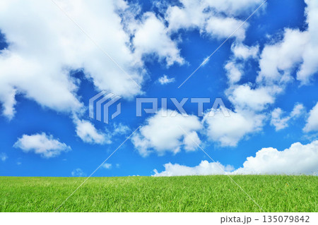 爽やかな夏の青空と新緑の草原風景 135079842