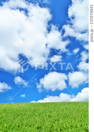 爽やかな夏の青空と新緑の草原風景 135079843