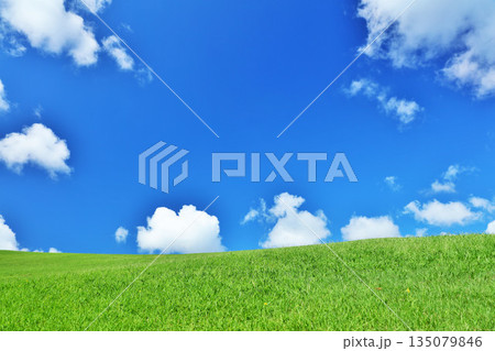 爽やかな夏の青空と新緑の草原風景 135079846