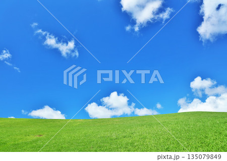 爽やかな夏の青空と新緑の草原風景 爽やかな夏の青空と新緑の草原風景 135079849