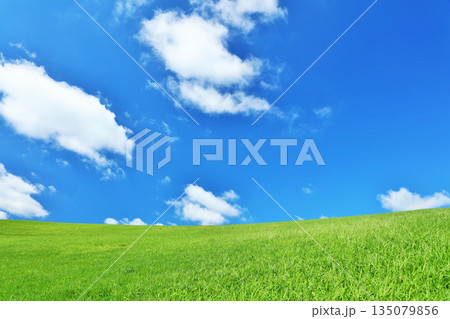 爽やかな夏の青空と新緑の草原風景 爽やかな夏の青空と新緑の草原風景 135079856