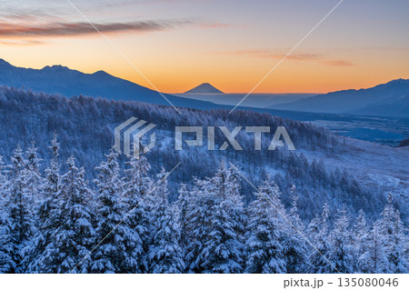 厳冬の霧ヶ峰高原から白く輝く霧氷のカラマツと富士山 135080046