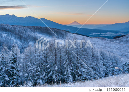 厳冬の霧ヶ峰高原から白く輝く霧氷のカラマツと富士山 135080053