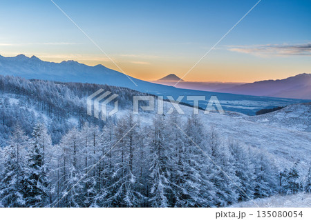 厳冬の霧ヶ峰高原から白く輝く霧氷のカラマツと富士山 135080054