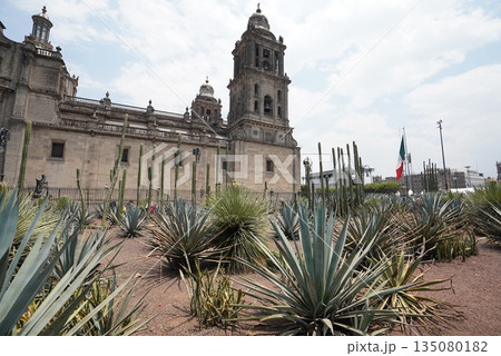 メキシコシティ 135080182