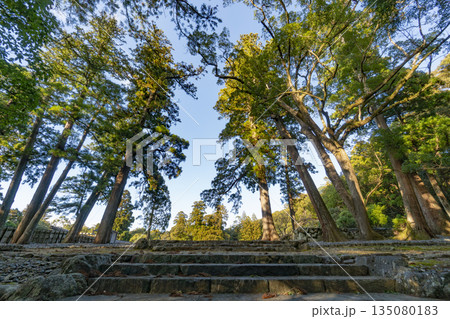 第63回式年遷宮御敷地(2033年) 第63回式年遷宮御敷地(2033年) 135080183
