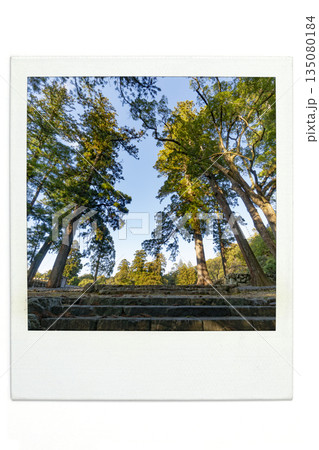 第63回式年遷宮御敷地(2033年)ポラ楓 第63回式年遷宮御敷地(2033年)ポラ楓 135080184