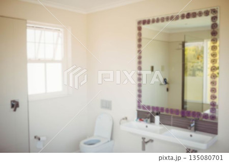 Mirror mounted on wall in bathroom at home 135080701