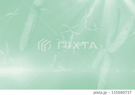 Chromosomes on green background Chromosomes on green background 135080737
