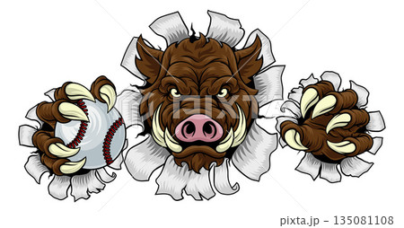 Boar Wild Hog Razorback Warthog Baseball Mascot 135081108