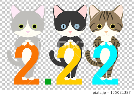 猫の日_数字の「2」によじ登るネコ 猫の日_数字の「2」によじ登るネコ 135081387