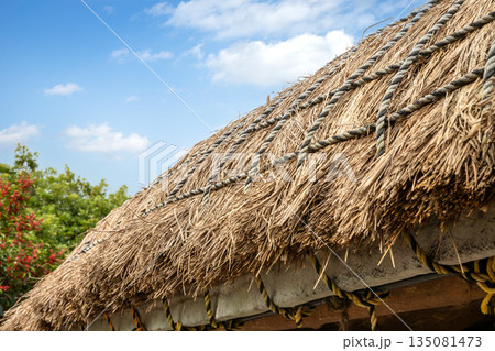Jeju Seongeup Folk Village roof 135081473