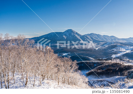 厳冬の霧ケ峰高原登山道から朝日に輝く霧氷と蓼科山 135081490