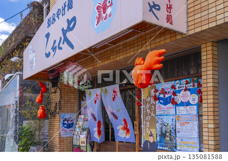 奈良　柳町商店街（金魚ストリート） 135081588