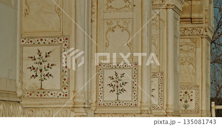 Red Fort decorative marble inlay panels with floral botanical motifs and geometric patterns Red Fort decorative marble inlay panels with floral botanical motifs and geometric patterns 135081743