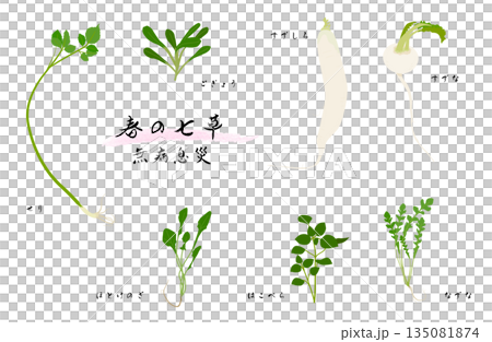 春の七草のイラストセット 135081874