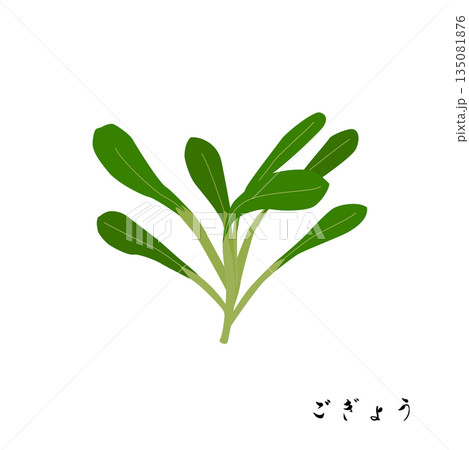 春の七草のごぎょうのイラスト 春の七草のごぎょうのイラスト 135081876