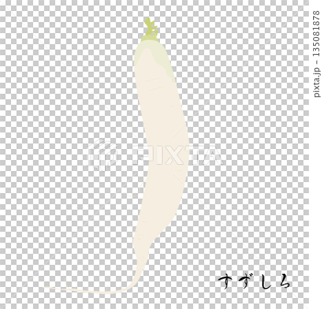 Illustration of Suzushiro, one of the seven herbs of spring 135081878