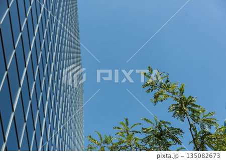 Side view of modern office building 135082673