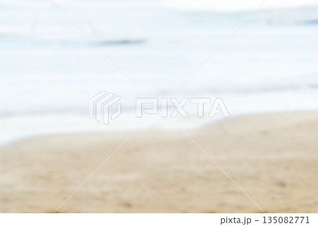 Scenic view of beach and shore 135082771