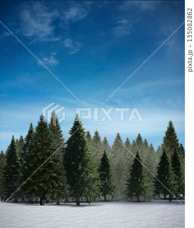 Fir tree forest in snowy landscape 135082862
