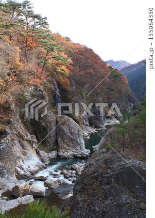 奥鬼怒 むささび橋より紅葉の龍王峡 奥鬼怒 むささび橋より紅葉の龍王峡 135084350