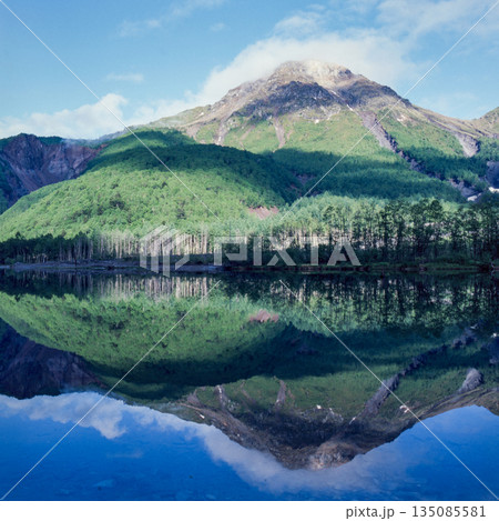 上高地の自然 上高地の自然 135085581