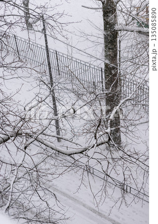 snow covered urban landscape with a tall building in the background.  135085890
