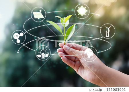 Hand Holding Small Sprout with Renewable Energy Icons for Sustainability Concept 135085991