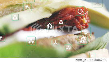 Showing layered sandwich with crusty bread, cheese, tomato pieces, pesto in studio with green icons 135086730