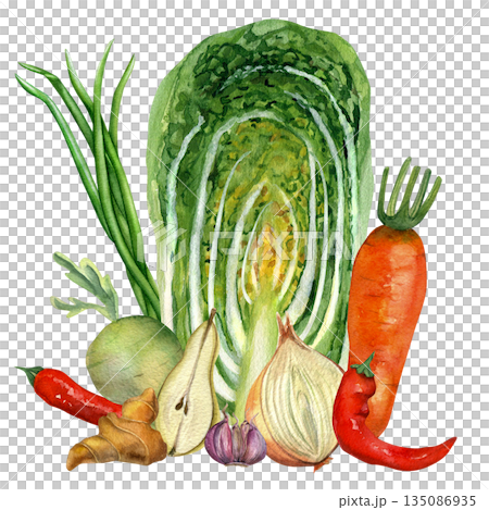 Vegetables composition for Kimchi on transparent background. Chinese cabbage, onion, ginger, carrot, daikon, garlic, pepper. For kimchi design, recipes and cards Vegetables composition for Kimchi on transparent background. Chinese cabbage, onion, ginger, carrot, daikon, garlic, pepper. For kimchi design, recipes and cards 135086935