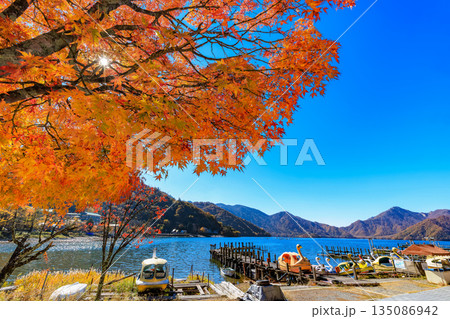 栃木県 日光市 秋の中禅寺湖(湖畔のもみじ) 栃木県 日光市 秋の中禅寺湖(湖畔のもみじ) 135086942
