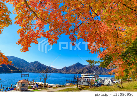 栃木県 日光市 秋の中禅寺湖(湖畔のもみじ) 栃木県 日光市 秋の中禅寺湖(湖畔のもみじ) 135086956