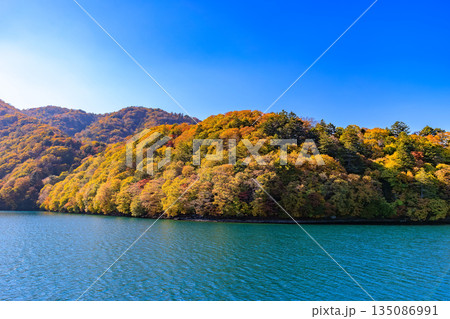 栃木県 日光市 秋の中禅寺湖(遊覧船から見た湖畔の紅葉) 栃木県 日光市 秋の中禅寺湖(遊覧船から見た湖畔の紅葉) 135086991