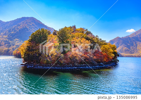 栃木県 日光市 秋の中禅寺湖(遊覧船から見た湖畔の紅葉 八丁出島) 栃木県 日光市 秋の中禅寺湖(遊覧船から見た湖畔の紅葉 八丁出島) 135086995