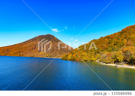 栃木県　日光市　秋の中禅寺湖（遊覧船から見た湖畔の紅葉　男体山） 135086998