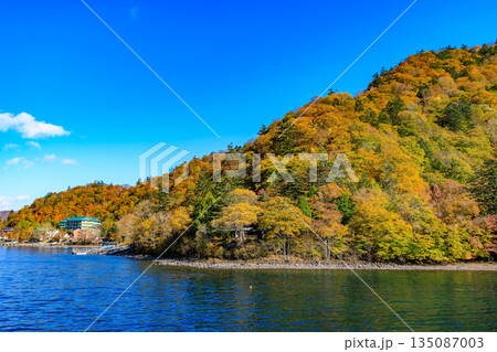 栃木県 日光市 秋の中禅寺湖(遊覧船から見た湖畔の紅葉) 栃木県 日光市 秋の中禅寺湖(遊覧船から見た湖畔の紅葉) 135087003