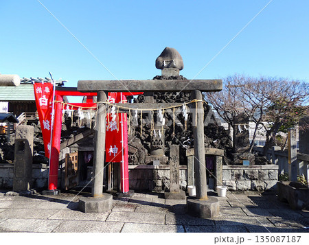 石浜神社　富士講関係石造物群 135087187