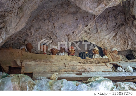 Tau Tau statues in a cave, Toraja, Sulawesi, Indonesia 135087270