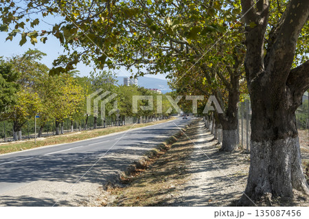 Road from Myskhako to Novorossiysk with trees along the sides, passing cars and open sky, representing everyday travel, transportation and suburban landscape Road from Myskhako to Novorossiysk with trees along the sides, passing cars and open sky, representing everyday travel, transportation and suburban landscape 135087456