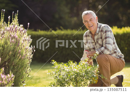 Senior man kneeling on lawn in garden trimming shrub with gardening gloves and shears, copy space Senior man kneeling on lawn in garden trimming shrub with gardening gloves and shears, copy space 135087511
