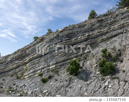 Wild beach on the coast of Kabardinka village, Russia, with cliffs, trees and natural scenery, showcasing untouched coastal landscape and seaside environment 135087530