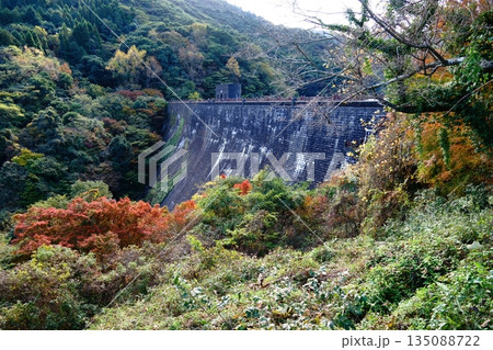 紅葉に浮かぶ河内堰提 135088722