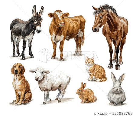 Watercolor farm animals. Livestock domestic animal in paint hand drawing style, donkey horse sheep cow rabbit dog cat farmers farmland friends set vector illustration 135088769