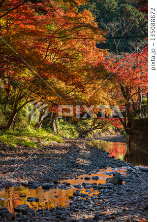 森町の遠江国一宮小國神社の紅葉の風景(静岡県) 135088872